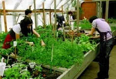 Оборудование для мастерской агропромышленного профиля/ сити-фермерства