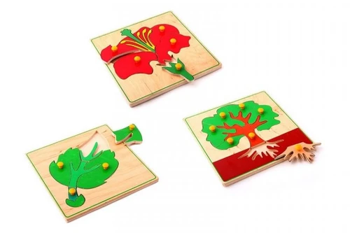 Развивающий комплект "Ботаника" ЛР1445 - фото 15640