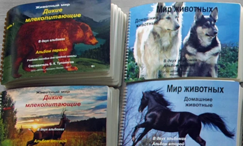 Набор тематических рельефно-графических пособий по различным предметным областям МГ8047 - фото 26471