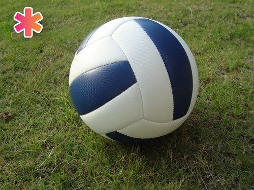 Волейбольный мяч звенящий - фото 31374