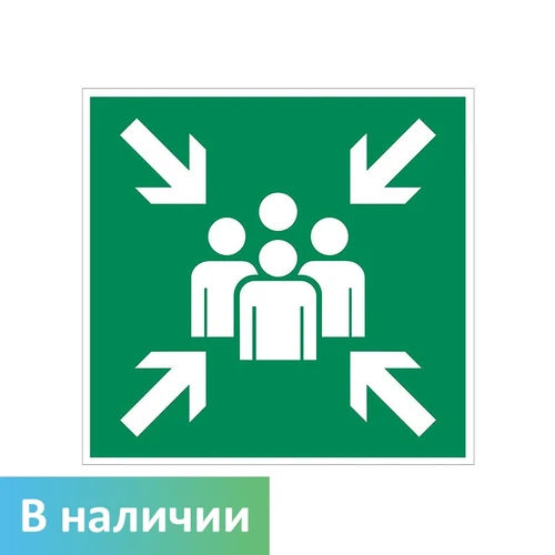 E21 Пункт (место) сбора, ПВХ фотолюминесцентный 6873-ф - фото 44815