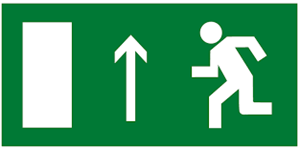 E 12 Направление к эвакуационному выходу прямо (левосторонний)