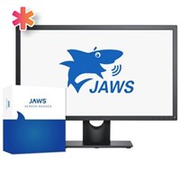 ПО экранного доступа JAWS for Windows 2020 Pro