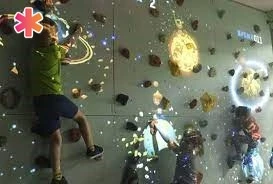 Интерактивный Cкалодром ИНП4917