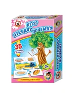Игра на развитие причинно следственных связей "Что? Откуда? Почему?" МГ3967