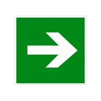 E02-01 Направляющая стрелка, композит фотолюминесцентный 6864-1-кф