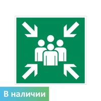 E21 Пункт (место) сбора, ПВХ фотолюминесцентный 6873-ф