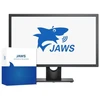 ПО экранного доступа JAWS for Windows 2020 Pro 3010 - фото 28128